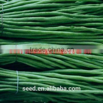 Chinese high quality cowpea bean seeds vegetable seeds