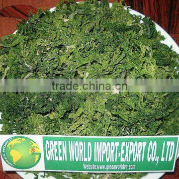 SEAWEED_ULVA LACTUCA LEAVE_HIGH QUALITY - GOOD PRICE