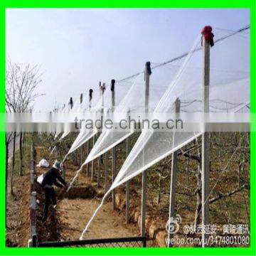 Factory Direct UV Anti-hail Net / Anti -bird Netting in High Qualty