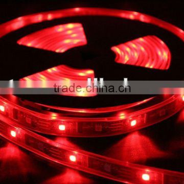 3528 SMD LED Flexible Strip (TCN-TS3R60S0-D12)