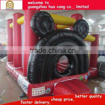 2016 China Hot Sale Inflatable Bouncer With Durable Material photo-3