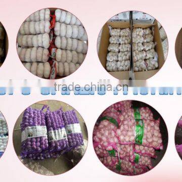 garlic of all packing