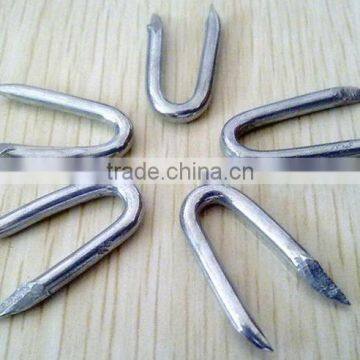 U Pin Nail /U Nails/ Artificial Grass Nails photo-4