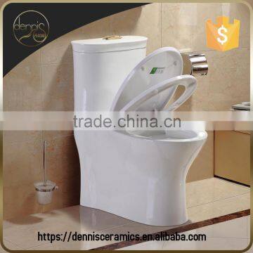 Dennis 2089 One Piece Cyclone Colored Toilet