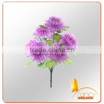 7 Heads purple daisy flower