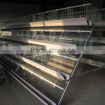 Galvanized Material Welded Wire Mesh Cage for Quail photo-3