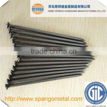 high quality common wire nail real factory