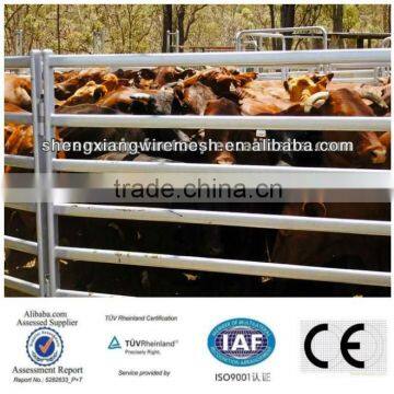 Cattle farm 1.8m x 2.4m 6 bar panels