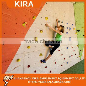 Factory Price Rock Climbing Wall