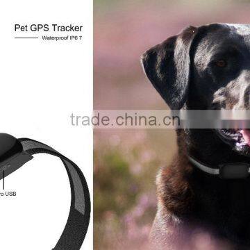 Keep Tracking Your Pets From Missing Waterproof GPS Pet Tracker with colar