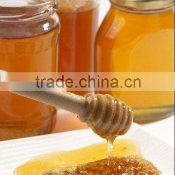 pure polyflora honey