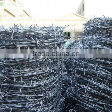 galvanized barbed wire