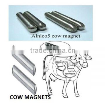 COW MAGNETS COW MAGNETS COW MAGNETS