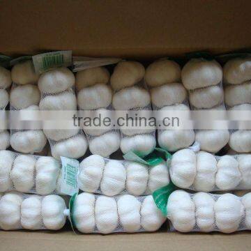 20kg Mesh Bag Garlic Price photo-6