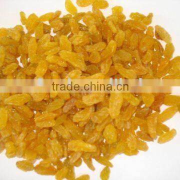 Dried Golden Raisin