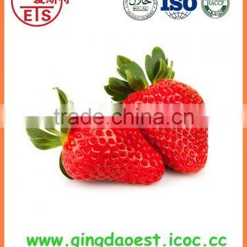 New crop High quality chinese Fresh Strawberry