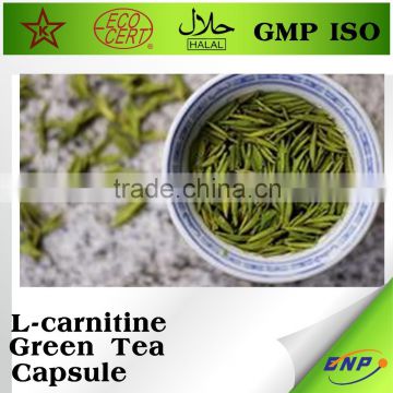 GMP ISO supplier green tea extract capsule