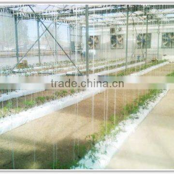 Coir Grow Bags for Spain Market