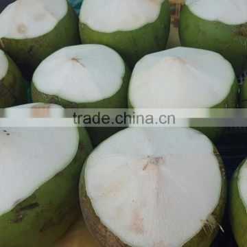 Young Fresh Coconut from Thailand