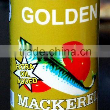 canned fish - canned mackerel in timato sauce