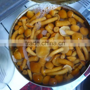 2016 Crop Nameko mushroom Marinated