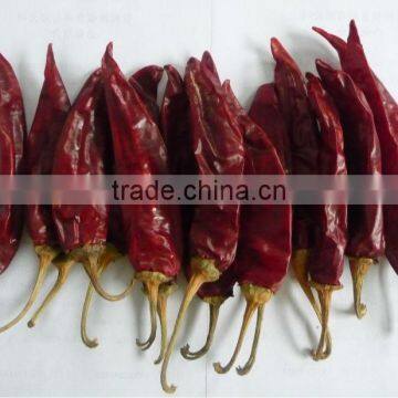 American red chilli dried red chilli dried chilli big chili medium hot