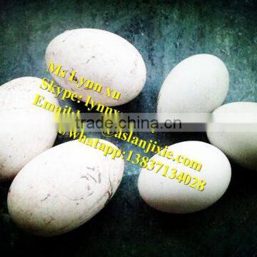 Low Broken Rate Goose Duck Chicken Egg Washing Machine/egg Cleaning Machine photo-6