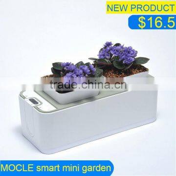 flowers pot with trays