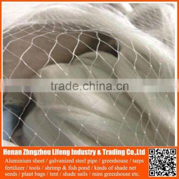 high quality pe plant support anti bird green net , nylon greenhouse anti bird trap mist net , plastic fruit bird protection net