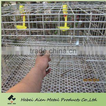 H type design brolier cage