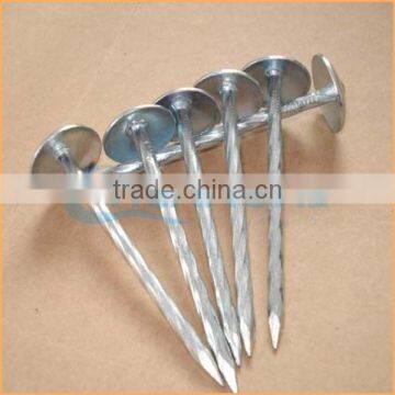 Top Quality Best Quality and Cheaper Big Head Roofing Nails Trusted Chuanghe Suppliers From Com photo-6