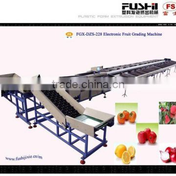 Electronic Fruit Weight Grading Machine