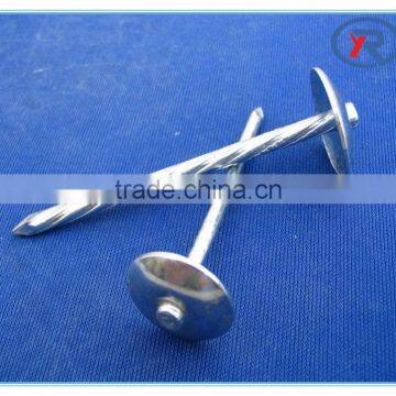 China bulk galvanized roofing nail with smooth shank or twisted shank