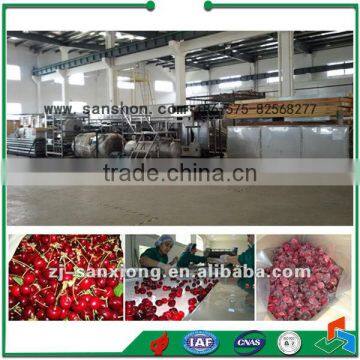 China Berry Fluidize IQF Freezer photo-6