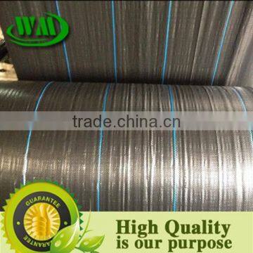 Weed Control photo-2