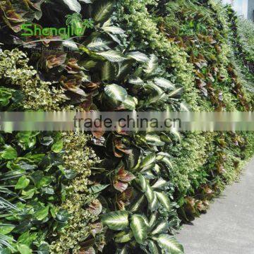 SJLJ013782 China Supplier Direct Selling Artificial Green Wall With Artificial Plant photo-2