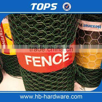 PVC Coated and Galvanized Hexagonal Wire Netting/chicken Mesh photo-2