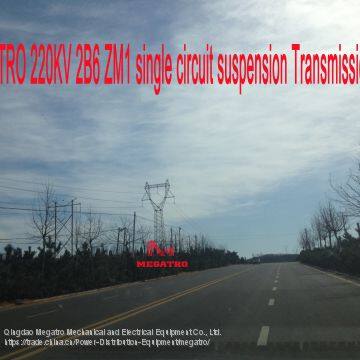 MEGATRO 220KV 2B6 ZM1 single circuit suspension Transmission tower