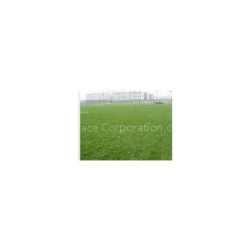 Bicolor Field Football Artificial Grass Soccer 50mm , Yarn Count 9800Dtex