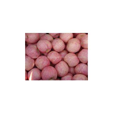 ShanDong Specials Fruits and Vegetable