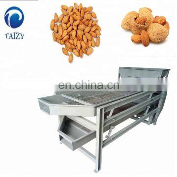 China Hot Sell Apricot Kernel in Shell With Factory Price 008613838527397 photo-3