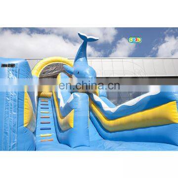 Dolphin Jumping Cartoon Inflatable Water Above Ground Bouncer Crazy Slide for Kids on Sale