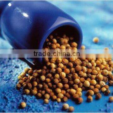 Coriander Seeds