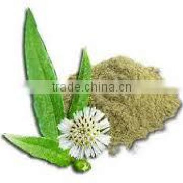 Premium Grade Eclipta Alba Powder Export