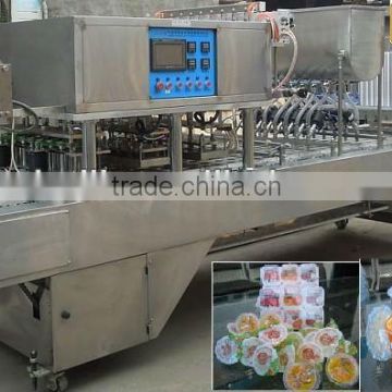 CD-20 automatic cup filling and sealing machine