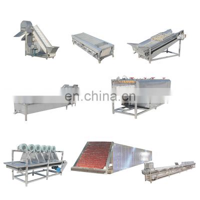 China Famous Belt type Classifier Sorting Grading Washing Cleaning Continuous Drying Dates Machine