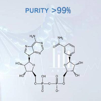 NAD β-Nicotinamide Adenine Dinucleotide//β-NAD photo-5