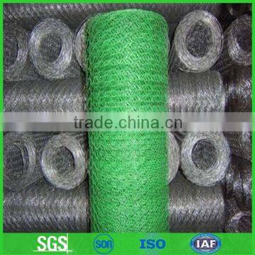 Pvc Coated Hexagonal Wire Mesh/chicken Wire Mesh -- Good Quality and Service