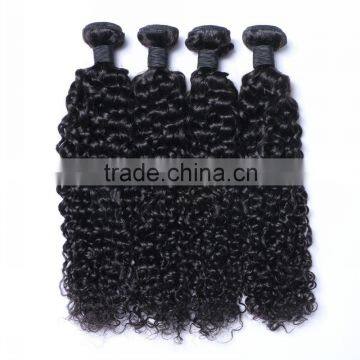 WJ002 5A Grade 100% Virgin Kinky Afro Curl Ombre Hair Extension Supplier's Choice photo-2