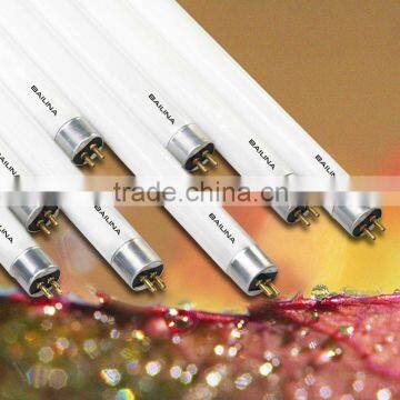 T8 Fluorescent Lamp